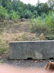 Photo of this report